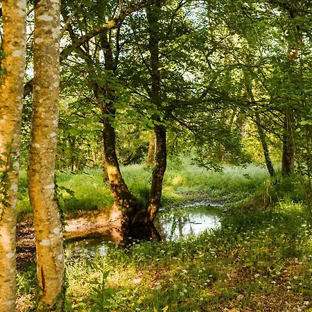 Σπίτι διακοπών Du Laa *